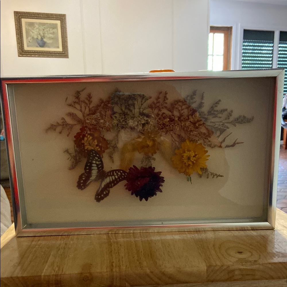 Butterfly shadowbox